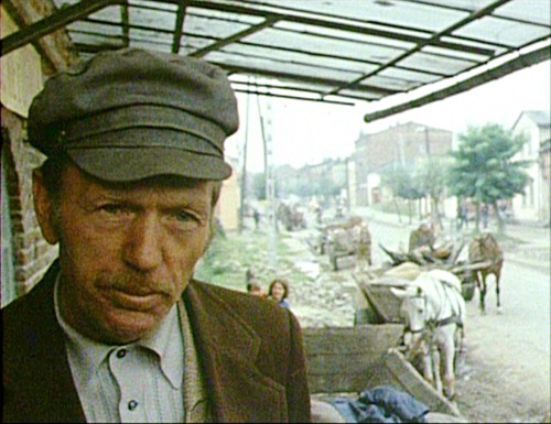 Shoah / Cuarta parte