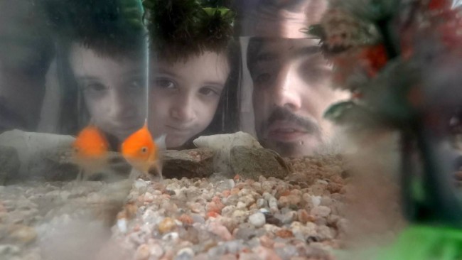 Buscando a Myu