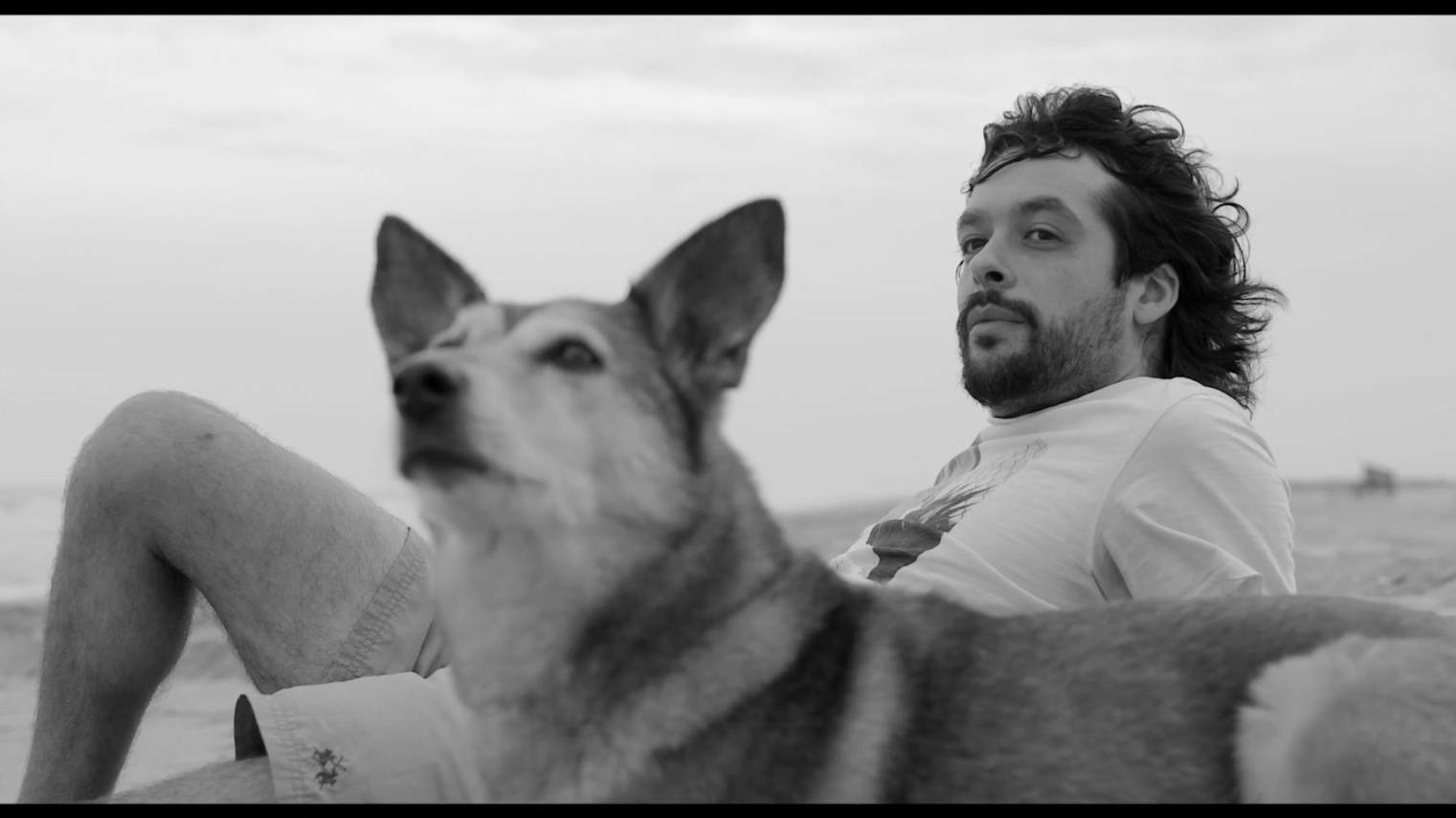 El perro que no calla