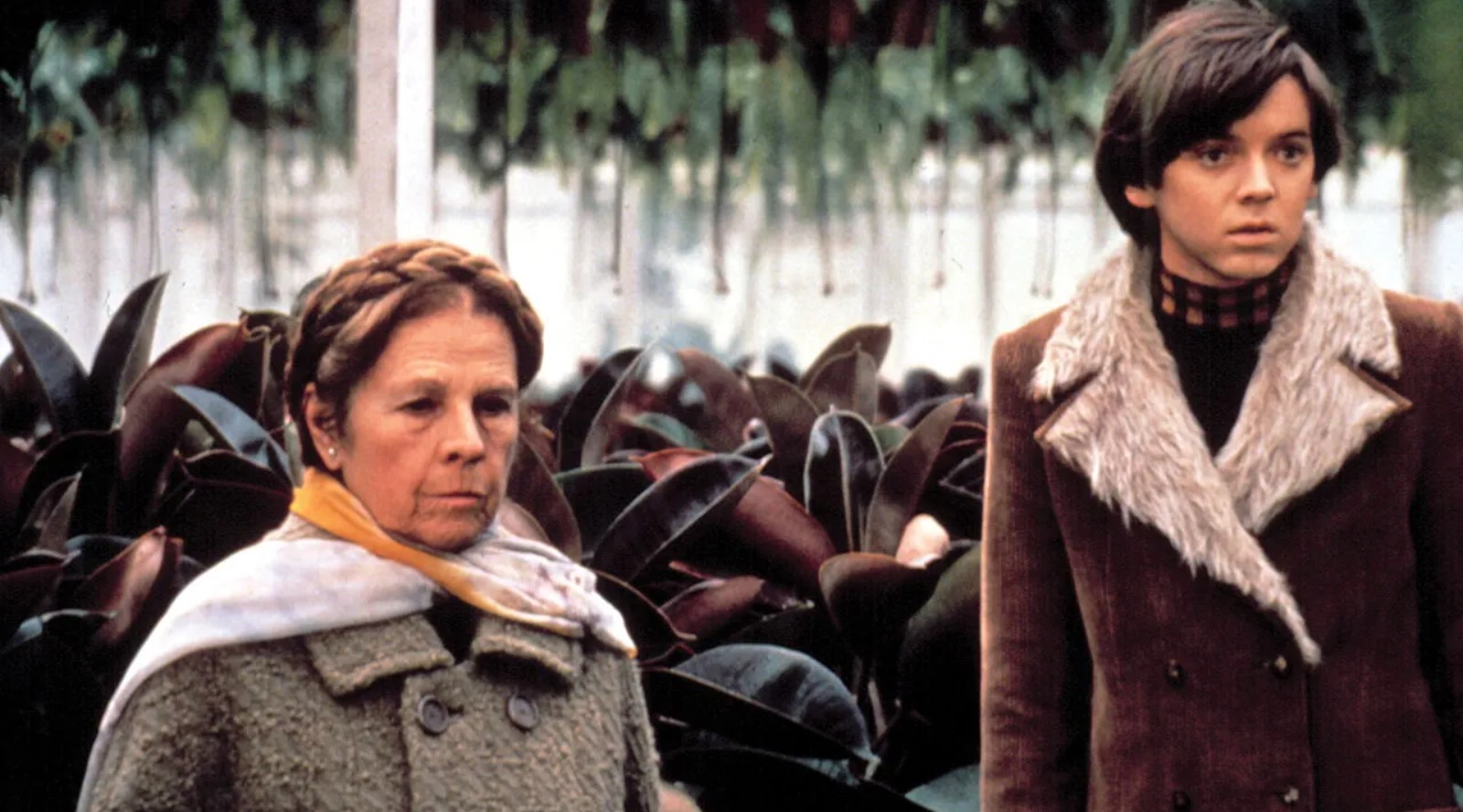 Harold y Maude