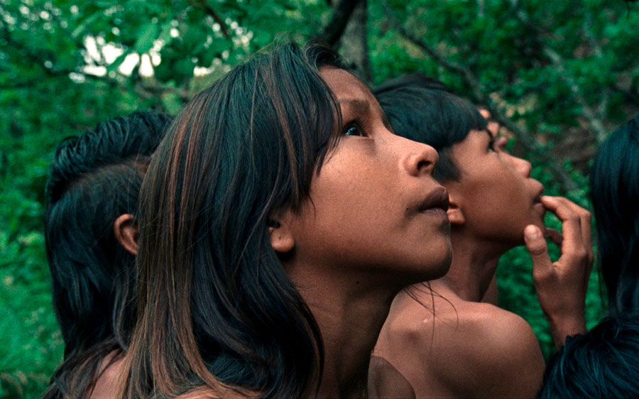 La flor del Buriti
