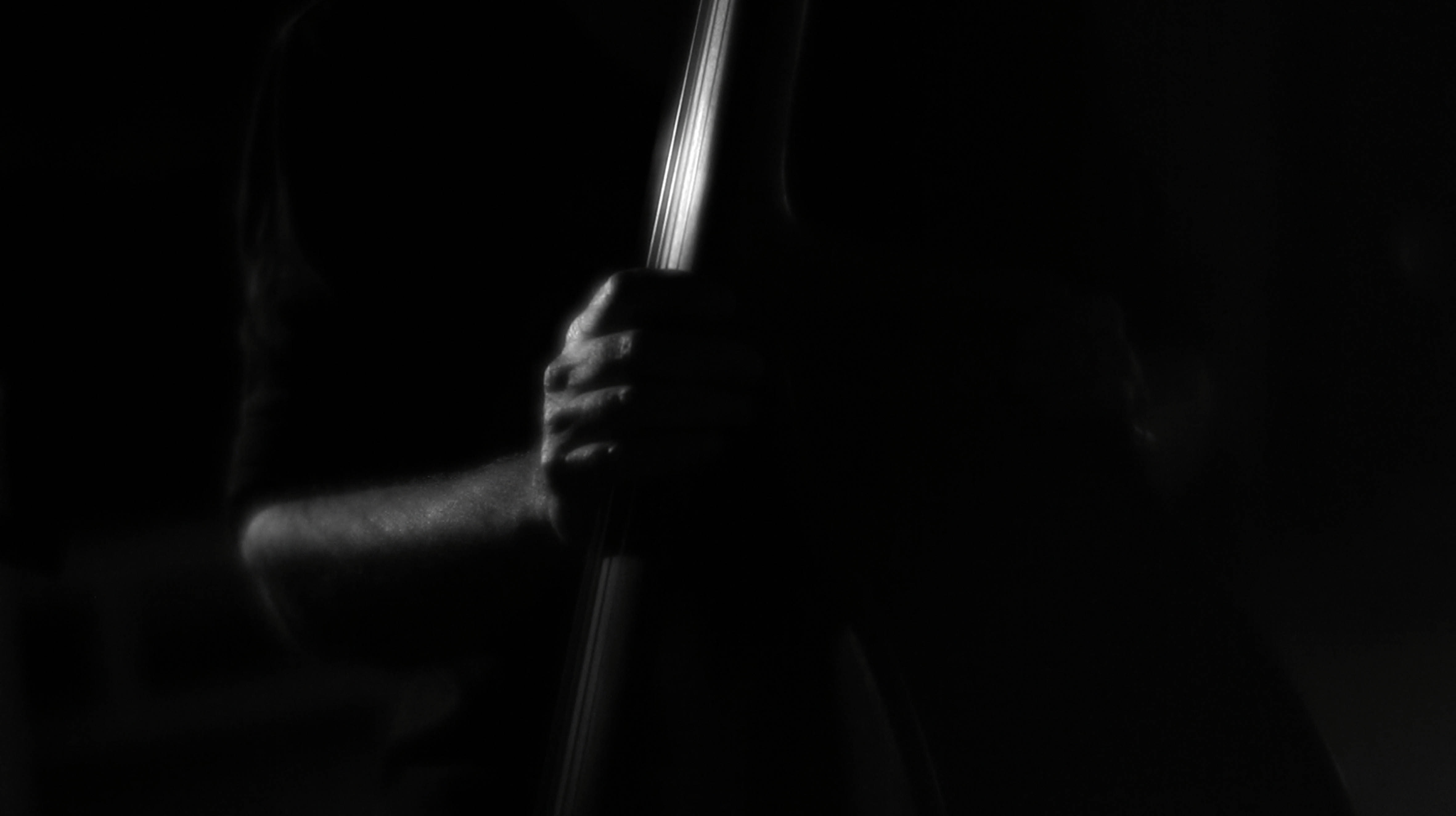 Mingus Erectus