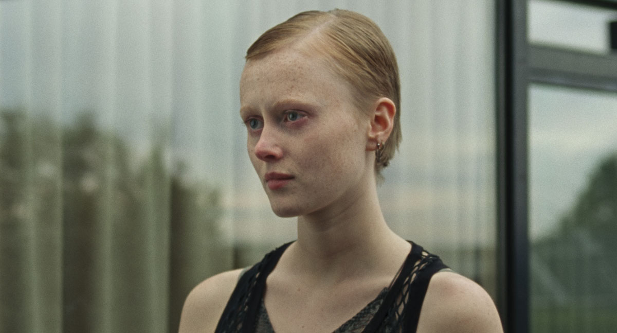 Cuando la luz irrumpe