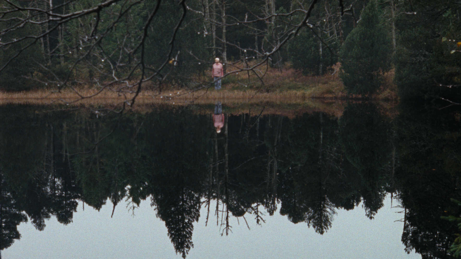 Madera y agua