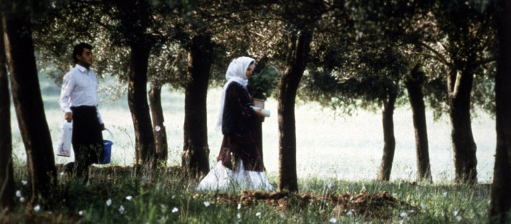 A través de los olivos