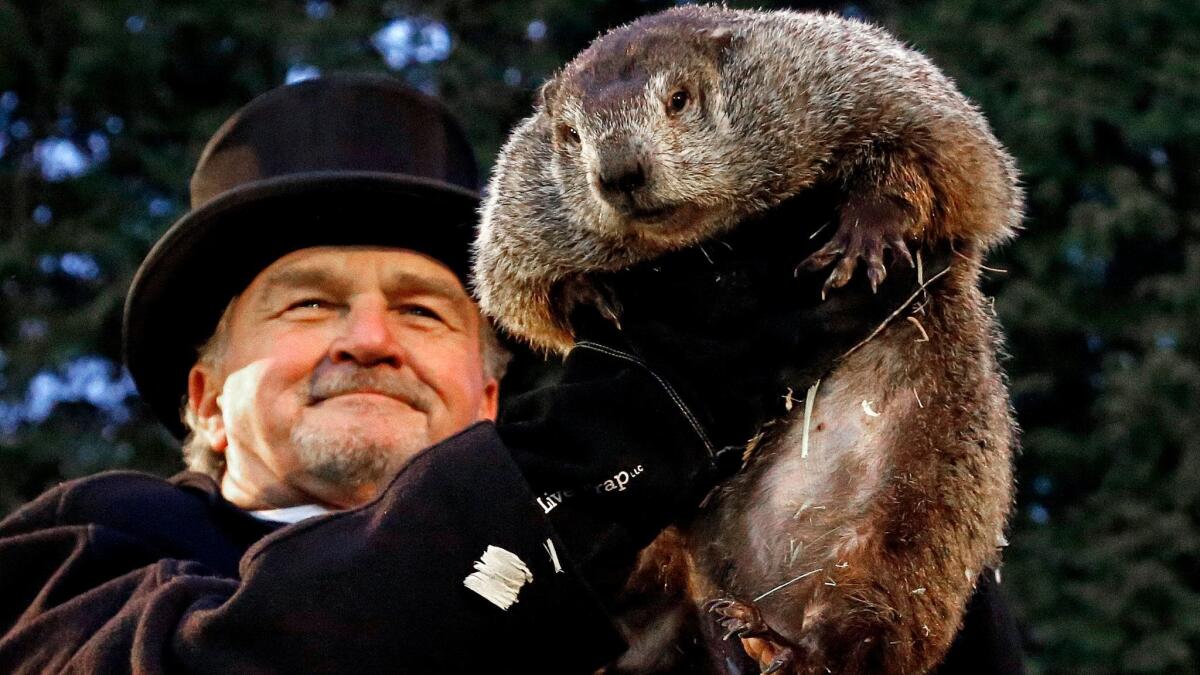El día de la marmota
