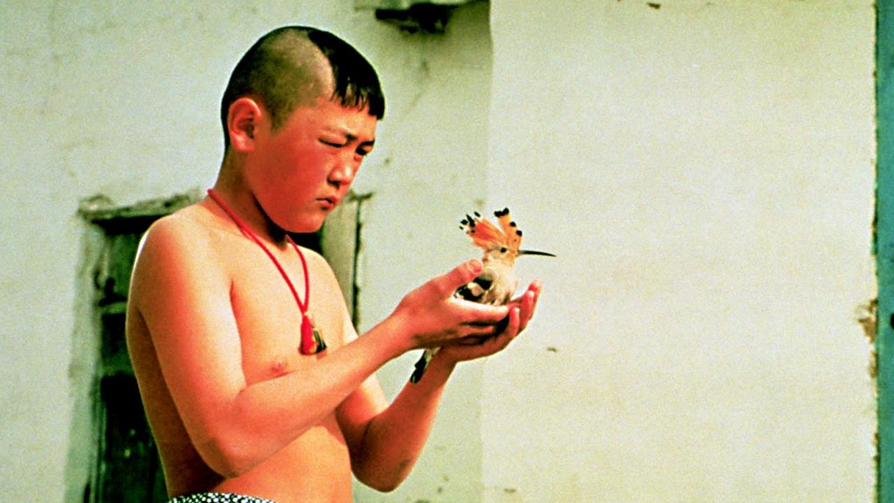 El hijo adoptivo