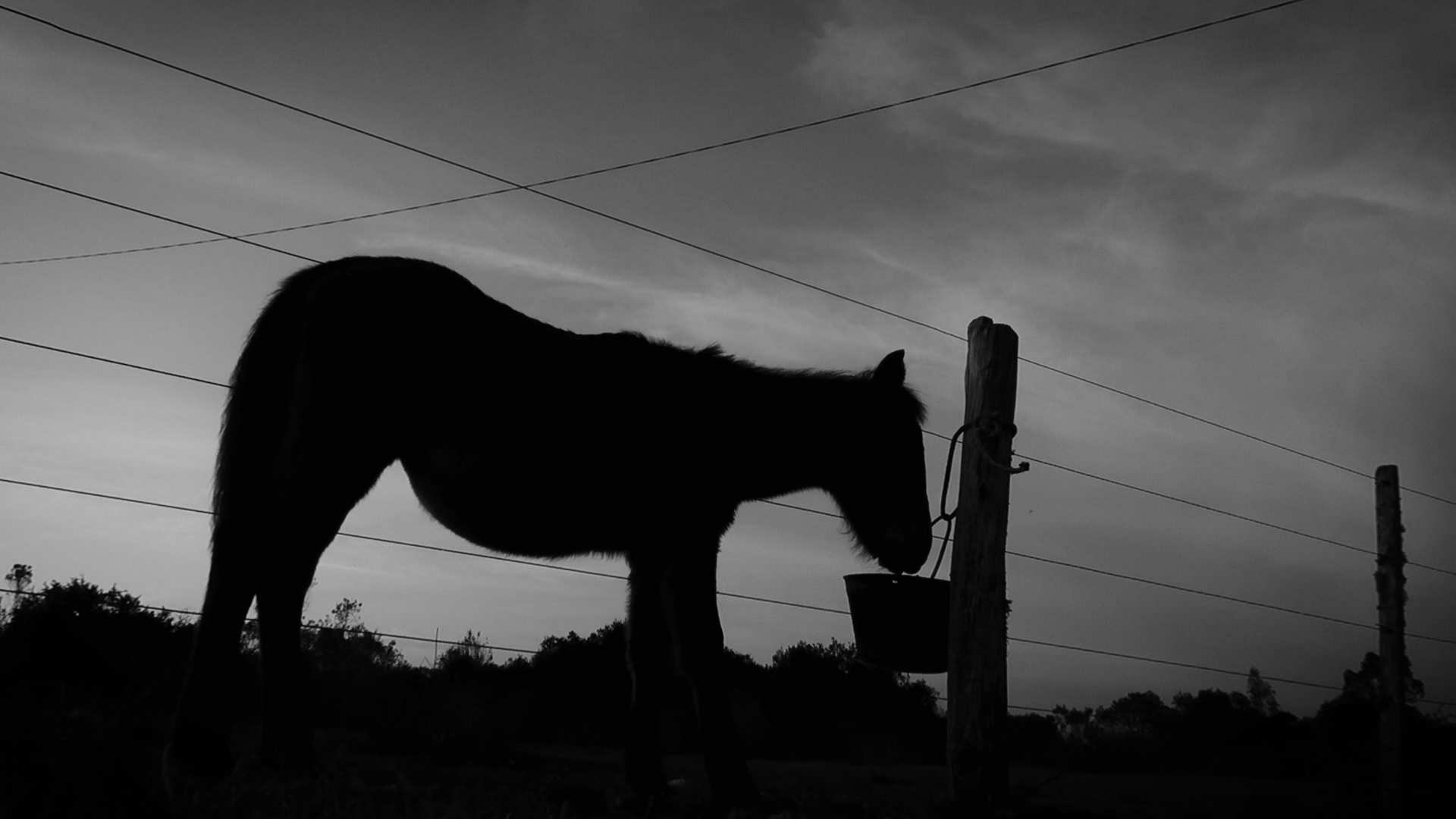 Panorama de cortometrajes uruguayos - programa 1