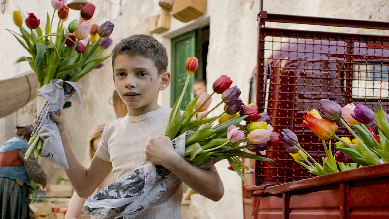 Tulipanes: Amor, honor y una bicicleta