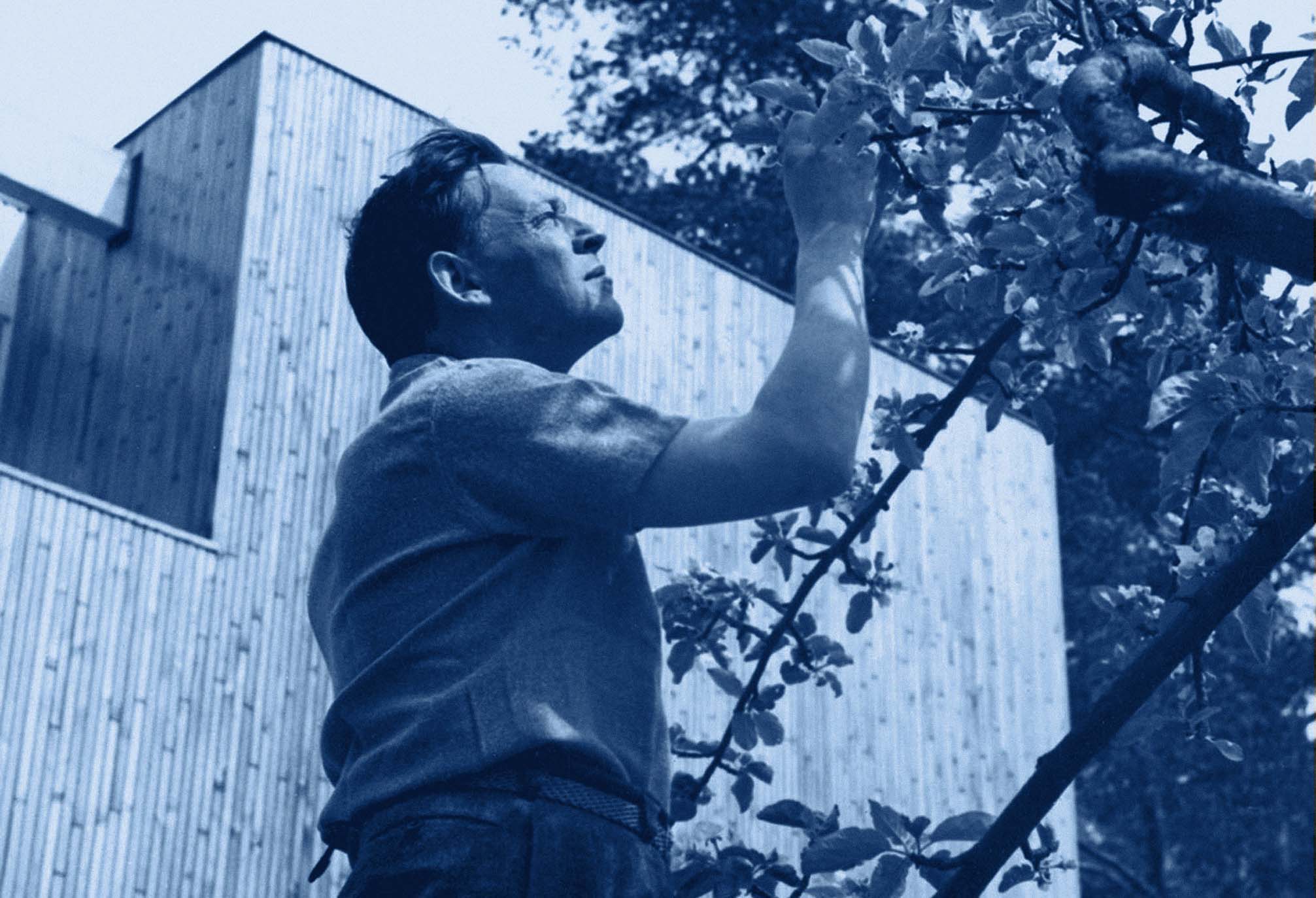 Aalto