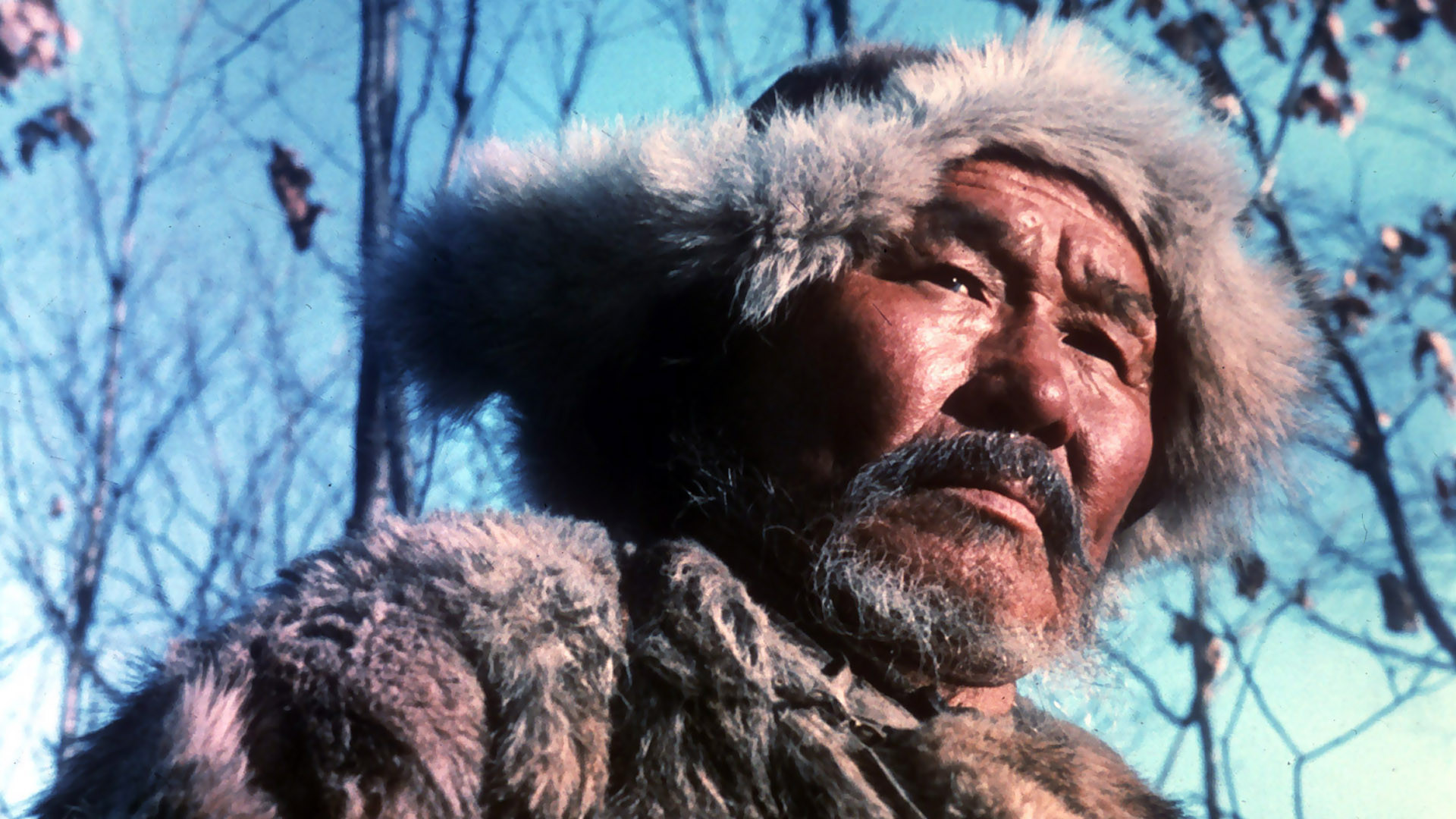 Dos de Kurosawa
