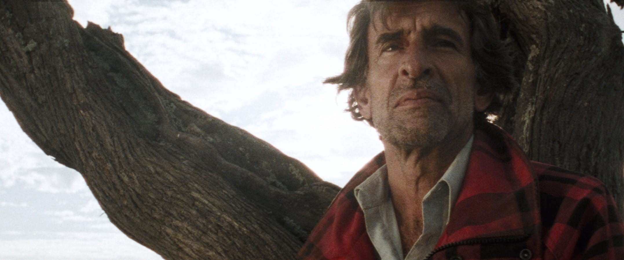 Retrospectiva: Carlos Reygadas